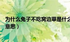 为什么兔子不吃窝边草是什么意思（兔子不吃窝边草是什么意思）