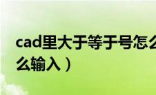 cad里大于等于号怎么打（cad大于等于号怎么输入）