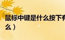鼠标中键是什么按下有什么用（鼠标中键是什么）