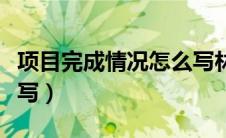 项目完成情况怎么写林业（项目完成情况怎么写）