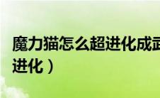 魔力猫怎么超进化成武斗灵猫（魔力猫怎么超进化）