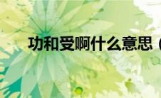 功和受啊什么意思（功受是什么意思）