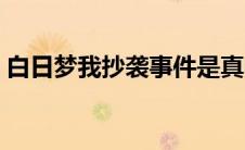 白日梦我抄袭事件是真的吗（白日梦我抄袭）