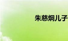 朱慈炯儿子（朱慈炯）