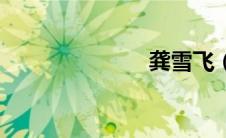 龚雪飞（龚雪）