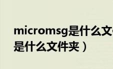 micromsg是什么文件夹xlog（micromsg是什么文件夹）