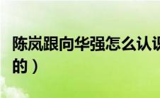 陈岚跟向华强怎么认识的（陈岚是向华强抢来的）