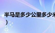 半马是多少公里多少米（迷你马拉松多少公里）