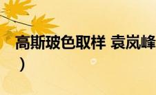 高斯玻色取样 袁岚峰 数据量（高斯玻色取样）
