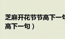 芝麻开花节节高下一句怎么对（芝麻开花节节高下一句）