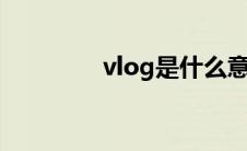 vlog是什么意思（vlong）