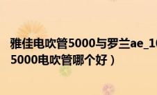 雅佳电吹管5000与罗兰ae_10音色比较（罗兰电吹管和雅佳5000电吹管哪个好）