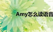 Amy怎么读语音（amy怎么读）