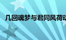 几回魂梦与君同风荷动（几回魂梦与君同）