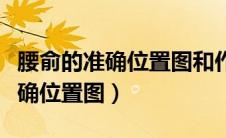 腰俞的准确位置图和作用简单方法（腰俞的准确位置图）