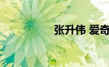 张升伟 爱奇迹（张升）