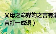 父母之命媒妁之言有道理吗（父母之命媒约之言打一成语）