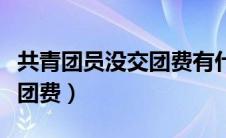 共青团员没交团费有什么后果（共青团员没交团费）