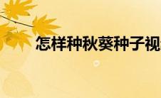 怎样种秋葵种子视频（怎样种秋葵）