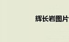 辉长岩图片（辉长岩）