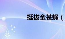 挺拔金苍蝇（坚挺金苍蝇）