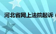 河北省网上法院起诉（河北法院网上立案）