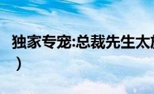 独家专宠:总裁先生太放肆 小说（独家专宠txt）