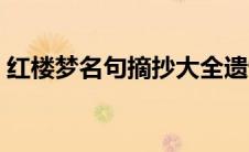 红楼梦名句摘抄大全遗憾（红楼梦名句摘抄）
