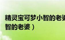 精灵宝可梦小智的老婆的头像（精灵宝可梦小智的老婆）