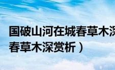 国破山河在城春草木深的品析（国破山河在城春草木深赏析）