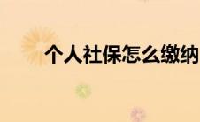 个人社保怎么缴纳（社保怎么缴纳）