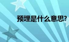 预埋是什么意思?（什么叫预埋单）