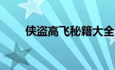 侠盗高飞秘籍大全（侠盗高飞秘籍）