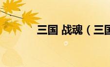 三国 战魂（三国战魂OL简介）