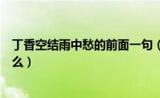 丁香空结雨中愁的前面一句（丁香空结雨中愁的上一句是什么）