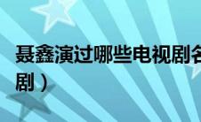 聂鑫演过哪些电视剧名字（聂鑫演过哪些电视剧）