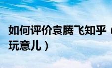 如何评价袁腾飞知乎（评袁腾飞历史是个什么玩意儿）