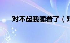 对不起我睡着了（对不起睡了你简介）