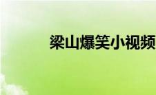 梁山爆笑小视频（笑梁山简介）