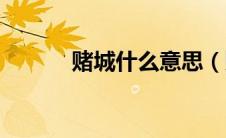 赌城什么意思（赌城月色简介）