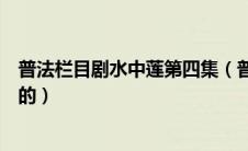 普法栏目剧水中莲第四集（普法栏目剧水中莲夏小荷是谁演的）
