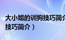 大小姐的训狗技巧简介怎么写（大小姐的训狗技巧简介）