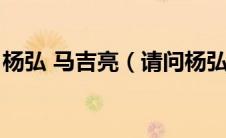 杨弘 马吉亮（请问杨弘和马吉亮后来怎么了）