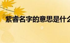 紫睿名字的意思是什么（紫芮名字的寓意）