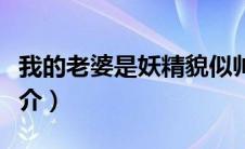 我的老婆是妖精貌似帅锅（我的老婆是人妖简介）
