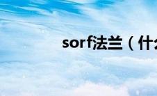 sorf法兰（什么是SO法兰）