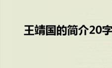 王靖国的简介20字（王靖国的简介）