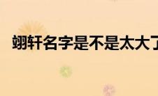 翊轩名字是不是太大了（翊轩是什么意思）