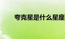 夸克星是什么星座（夸克星是什么）