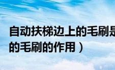 自动扶梯边上的毛刷是干嘛的（自动扶梯边上的毛刷的作用）